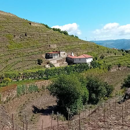 Casa Da Quinta Do Porto Βίλα Lamego Εξωτερικό φωτογραφία
