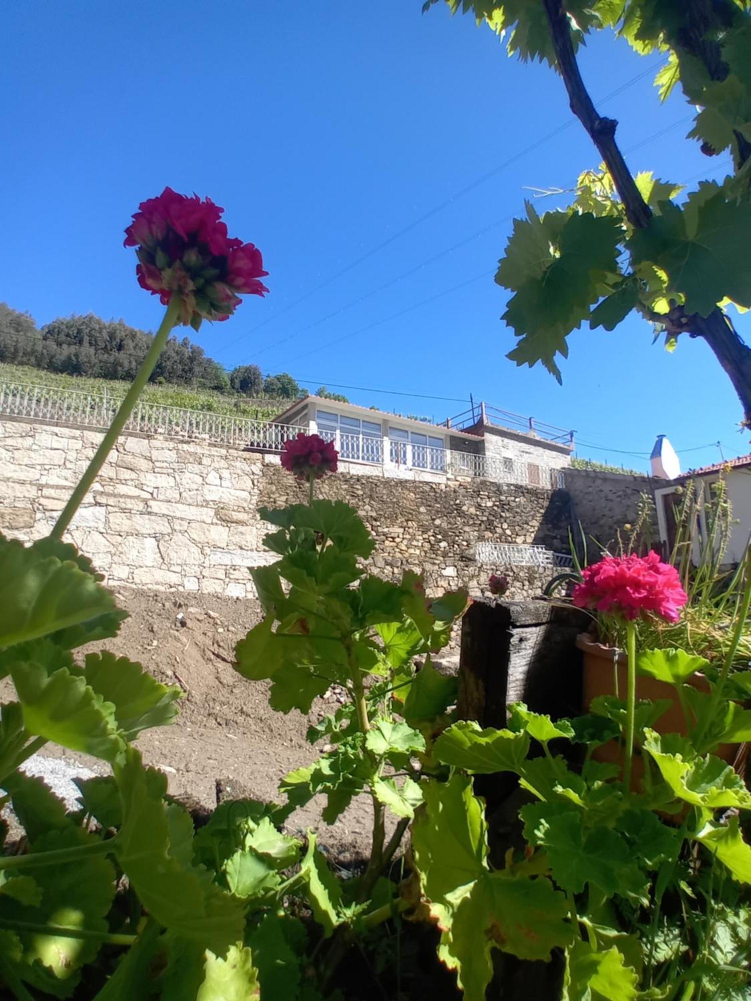 Casa Da Quinta Do Porto Βίλα Lamego Εξωτερικό φωτογραφία