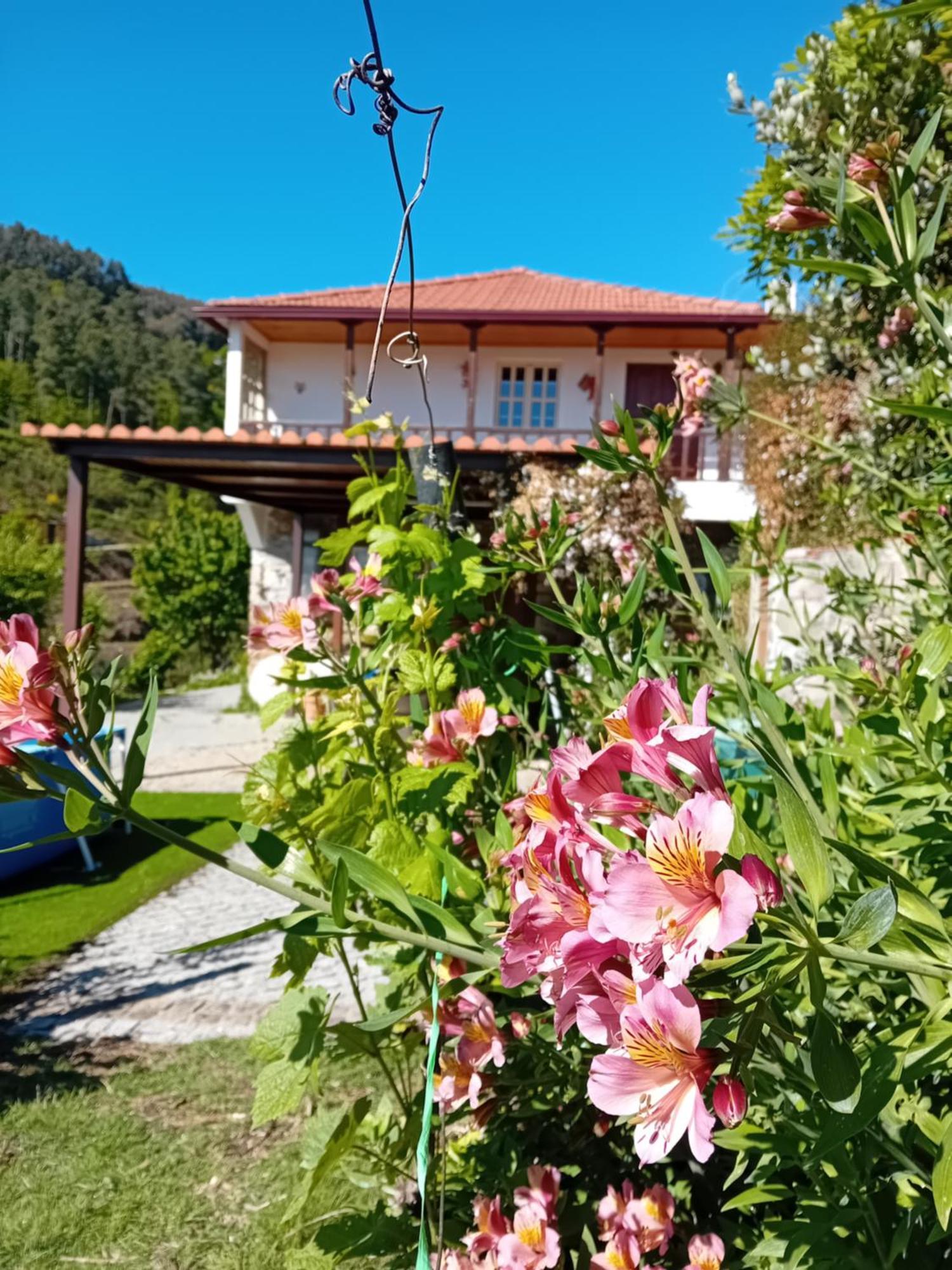 Casa Da Quinta Do Porto Βίλα Lamego Εξωτερικό φωτογραφία