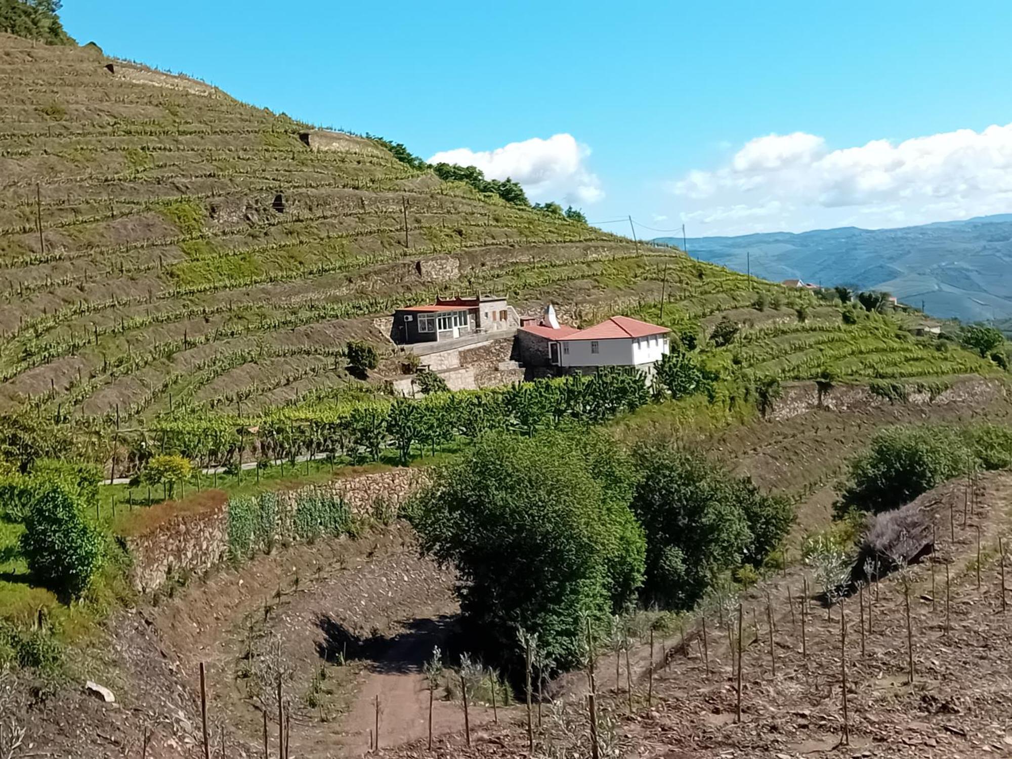 Casa Da Quinta Do Porto Βίλα Lamego Εξωτερικό φωτογραφία