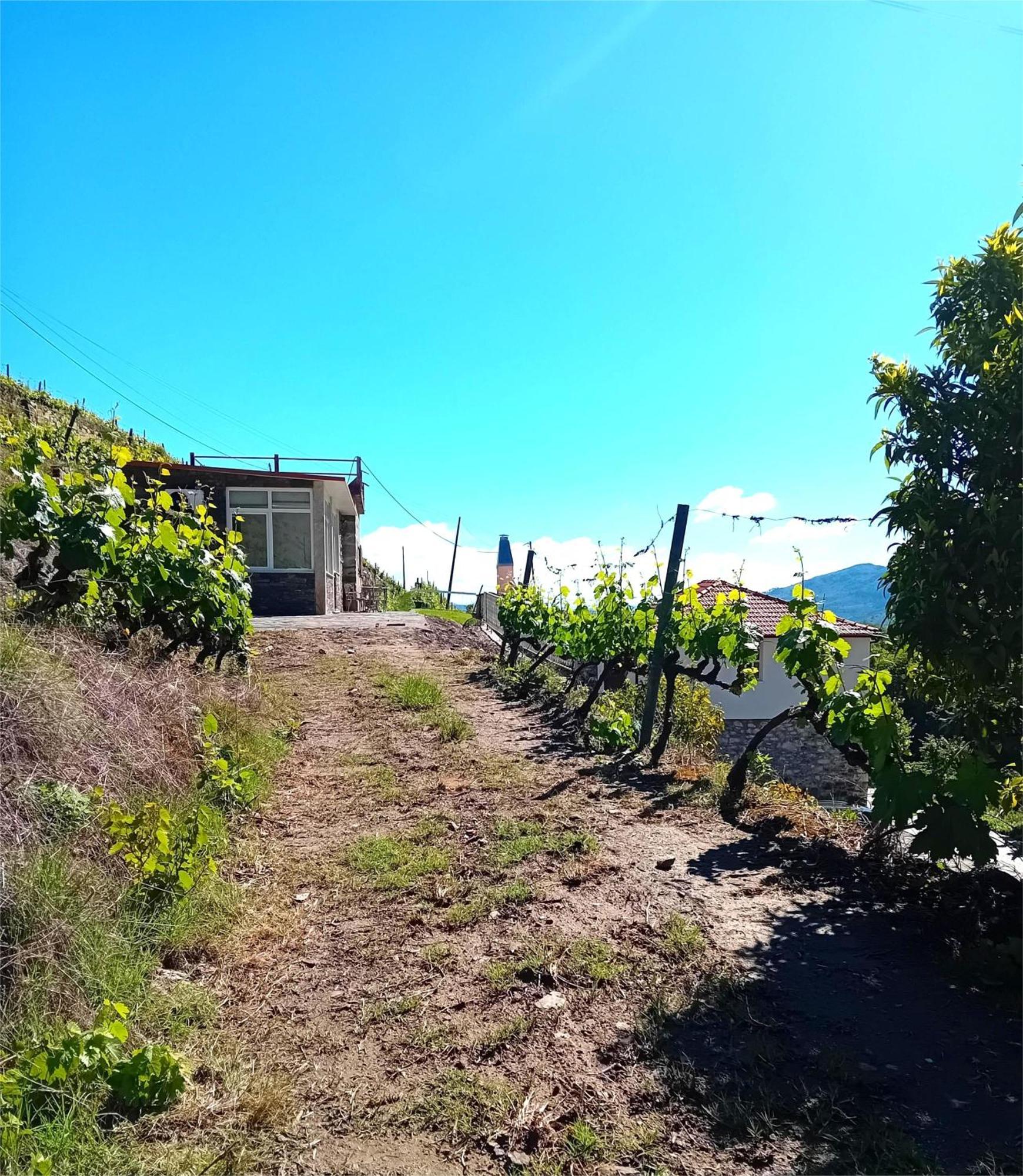 Casa Da Quinta Do Porto Βίλα Lamego Εξωτερικό φωτογραφία