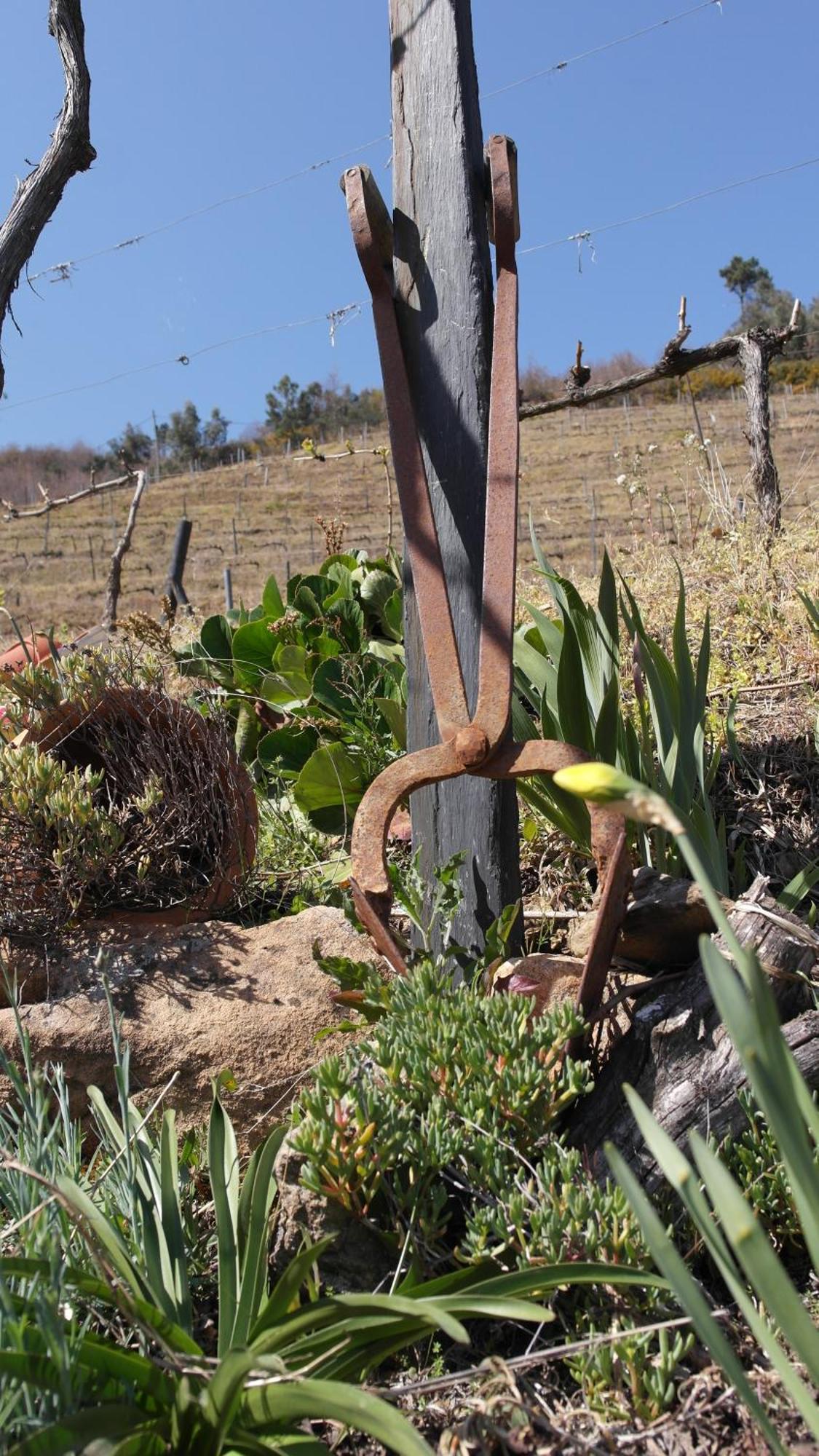 Casa Da Quinta Do Porto Βίλα Lamego Εξωτερικό φωτογραφία