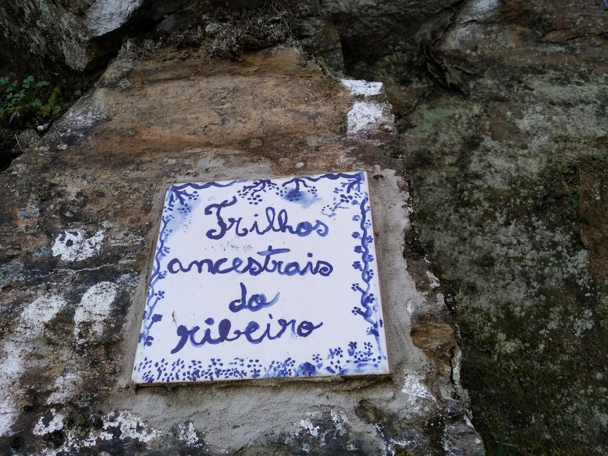Casa Da Quinta Do Porto Βίλα Lamego Εξωτερικό φωτογραφία
