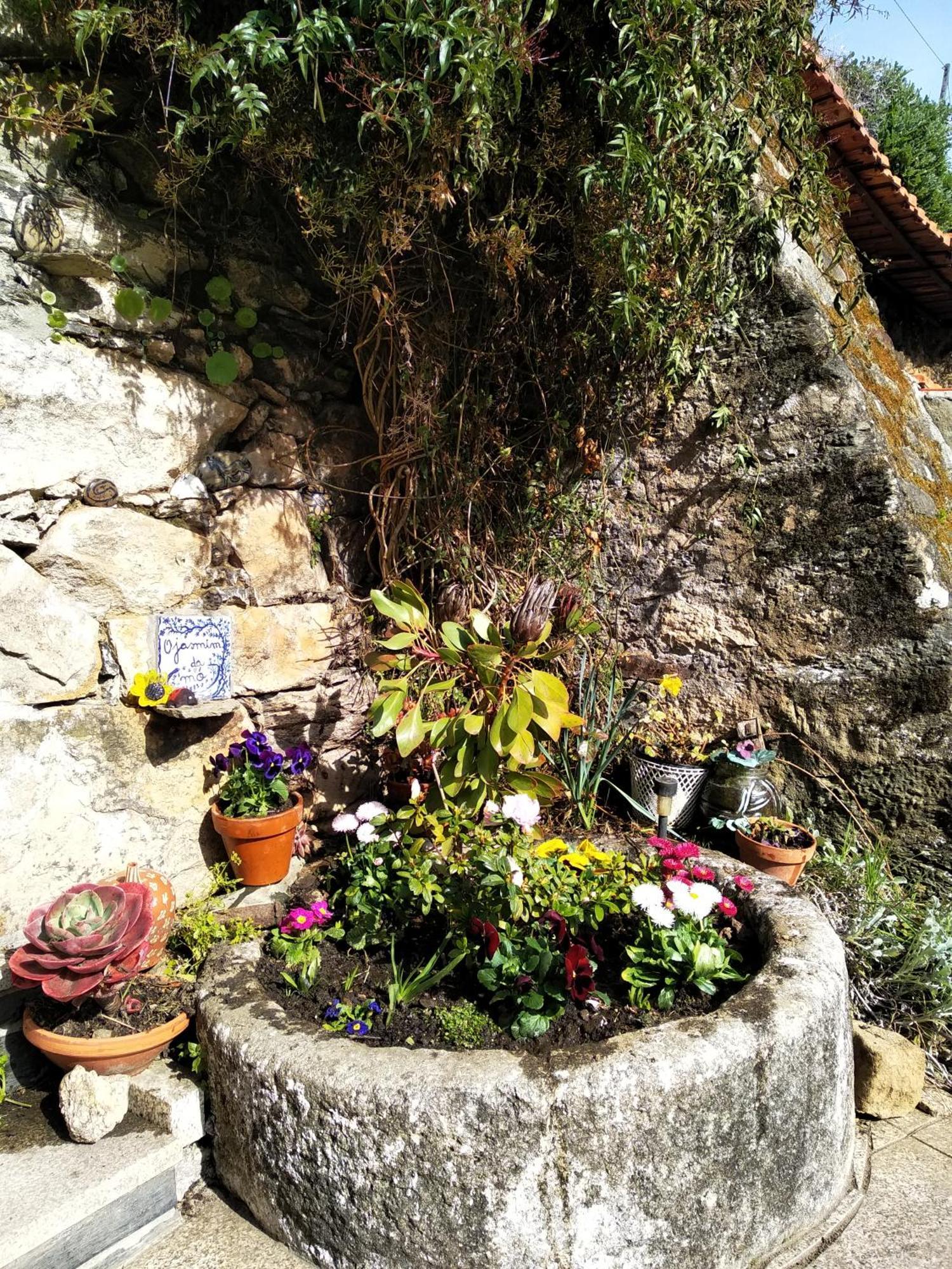 Casa Da Quinta Do Porto Βίλα Lamego Εξωτερικό φωτογραφία