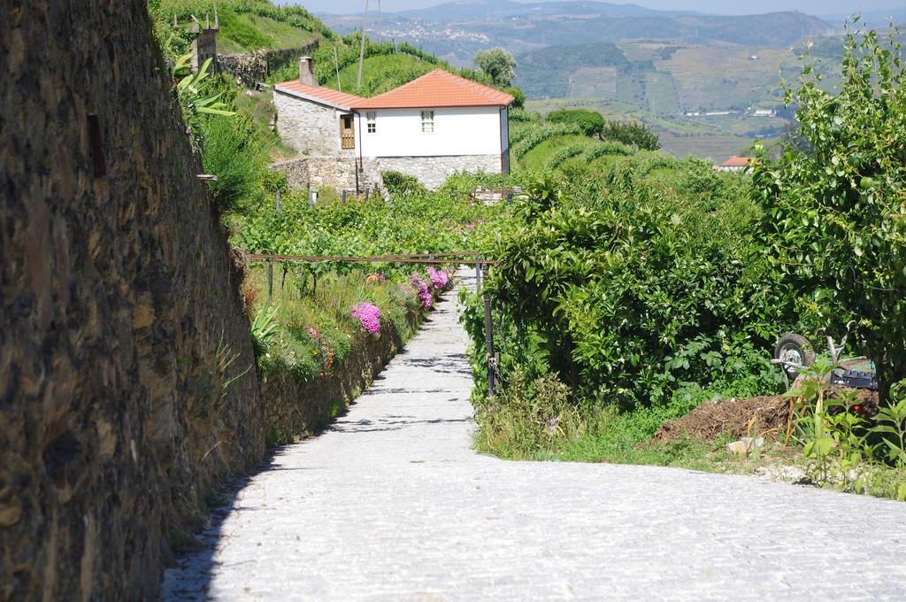 Casa Da Quinta Do Porto Βίλα Lamego Εξωτερικό φωτογραφία