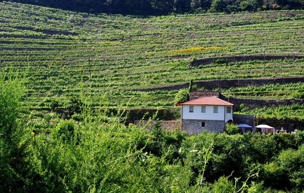 Casa Da Quinta Do Porto Βίλα Lamego Εξωτερικό φωτογραφία