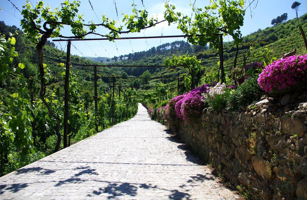 Casa Da Quinta Do Porto Βίλα Lamego Εξωτερικό φωτογραφία