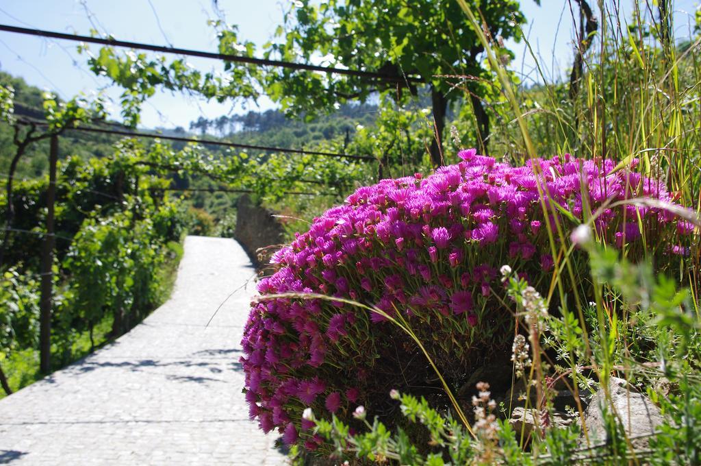 Casa Da Quinta Do Porto Βίλα Lamego Εξωτερικό φωτογραφία