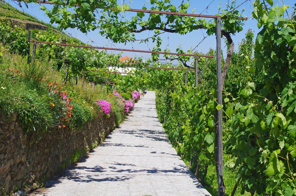 Casa Da Quinta Do Porto Βίλα Lamego Εξωτερικό φωτογραφία
