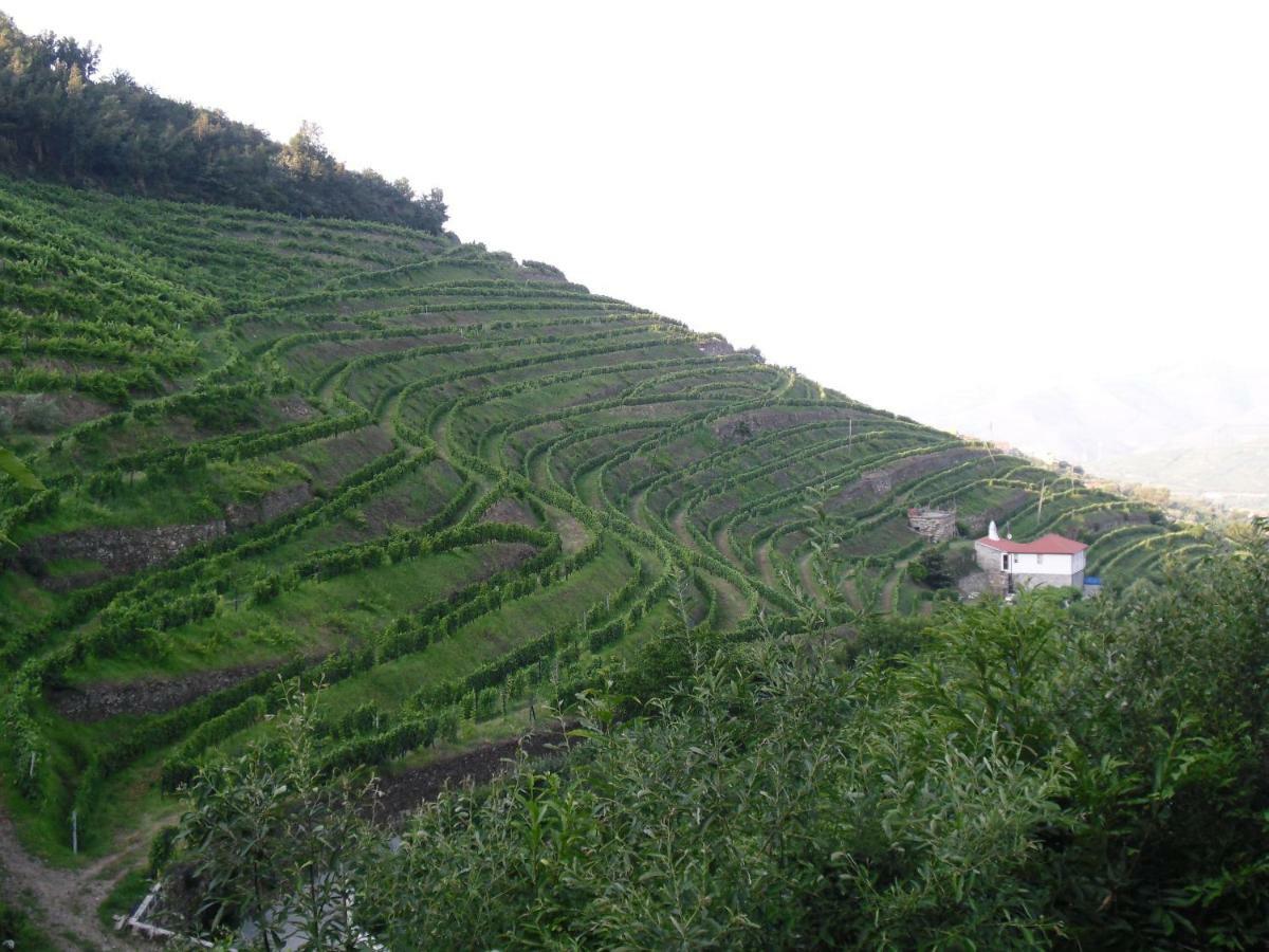 Casa Da Quinta Do Porto Βίλα Lamego Εξωτερικό φωτογραφία